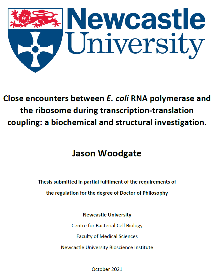 PhD diploma